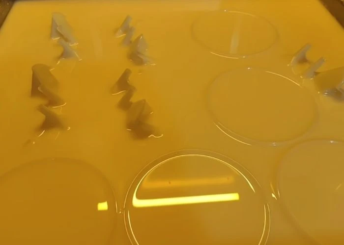 Plastic 3D printing materials using SLA resin.