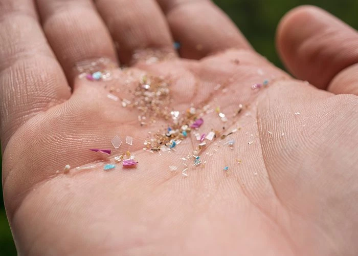 tiny microplastic fragments placed on human palm, showing scale of microplastics pollution threatening marine wildlife